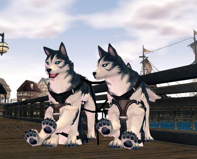 めーめ tweet media