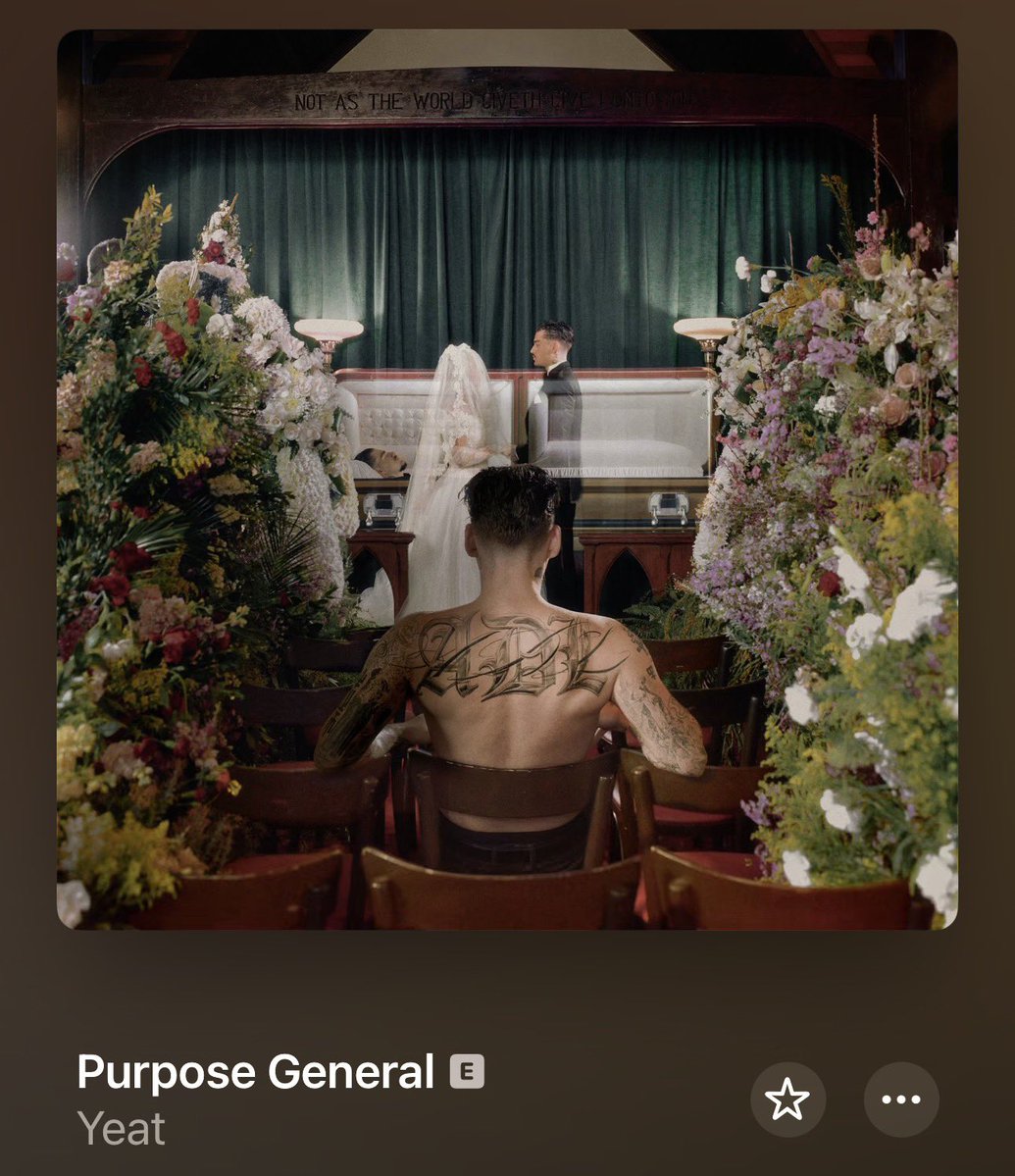 Wost🕷️ tweet media