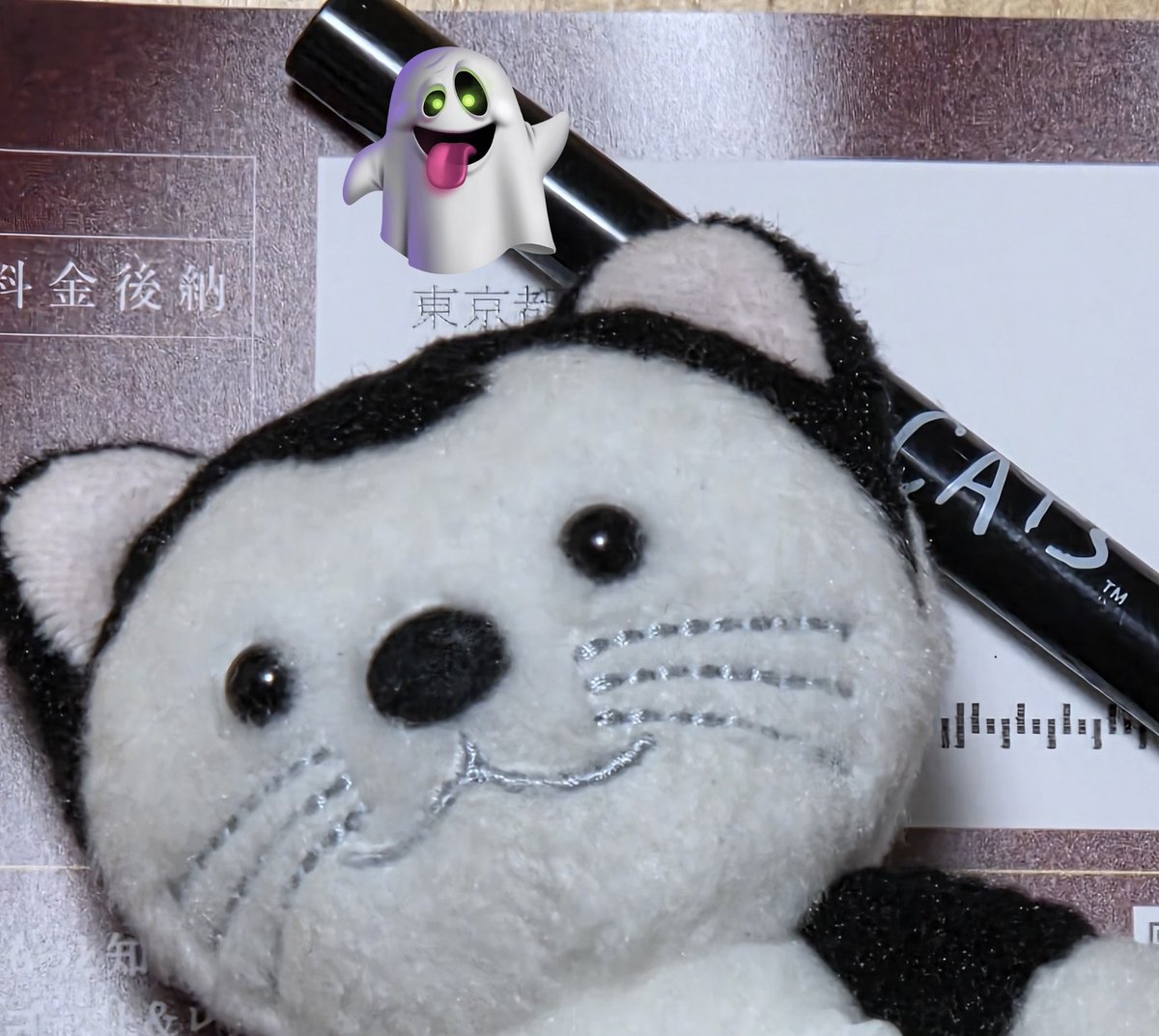 ぢょい☆彡　戦争反対 tweet media