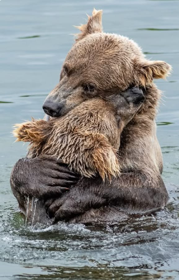 Intresting nature 🌿🪐 tweet media