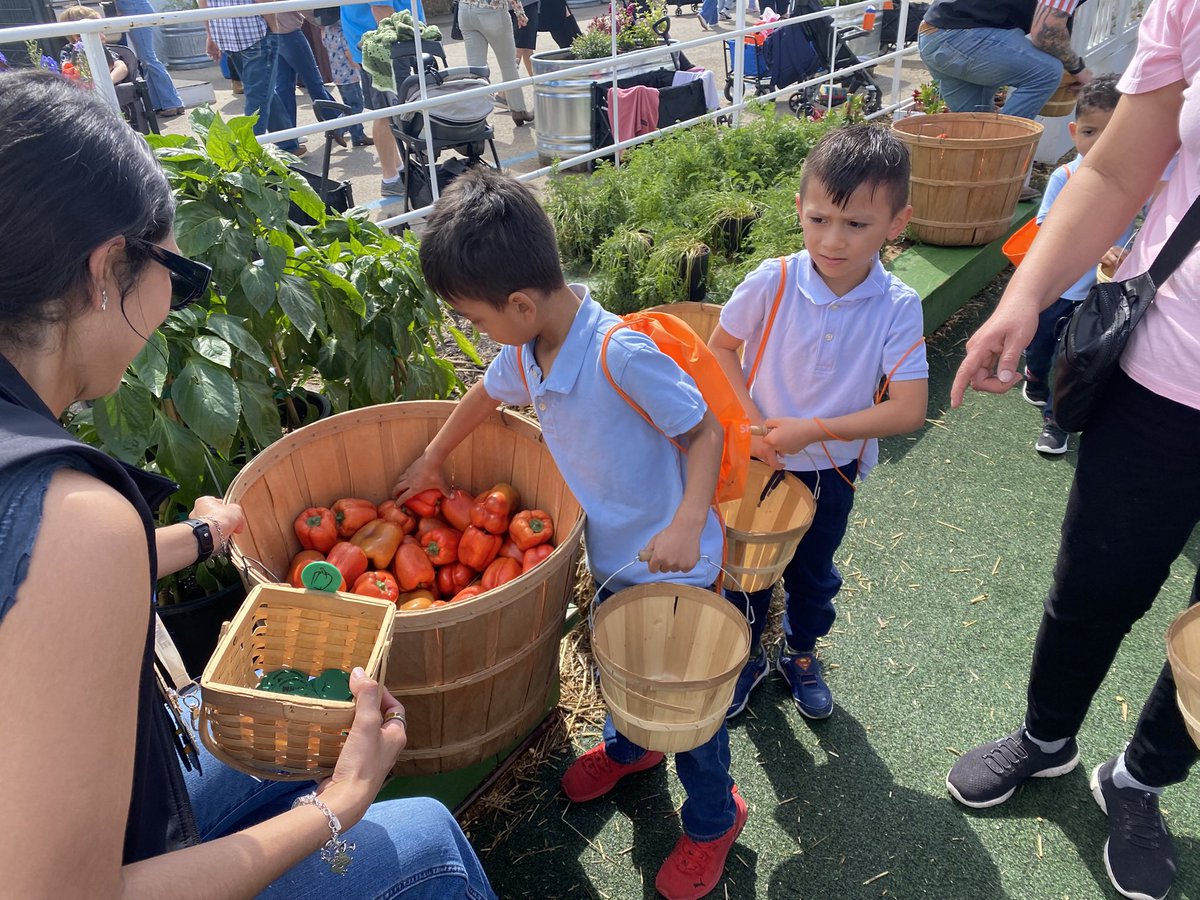 PreK Teacher tweet media