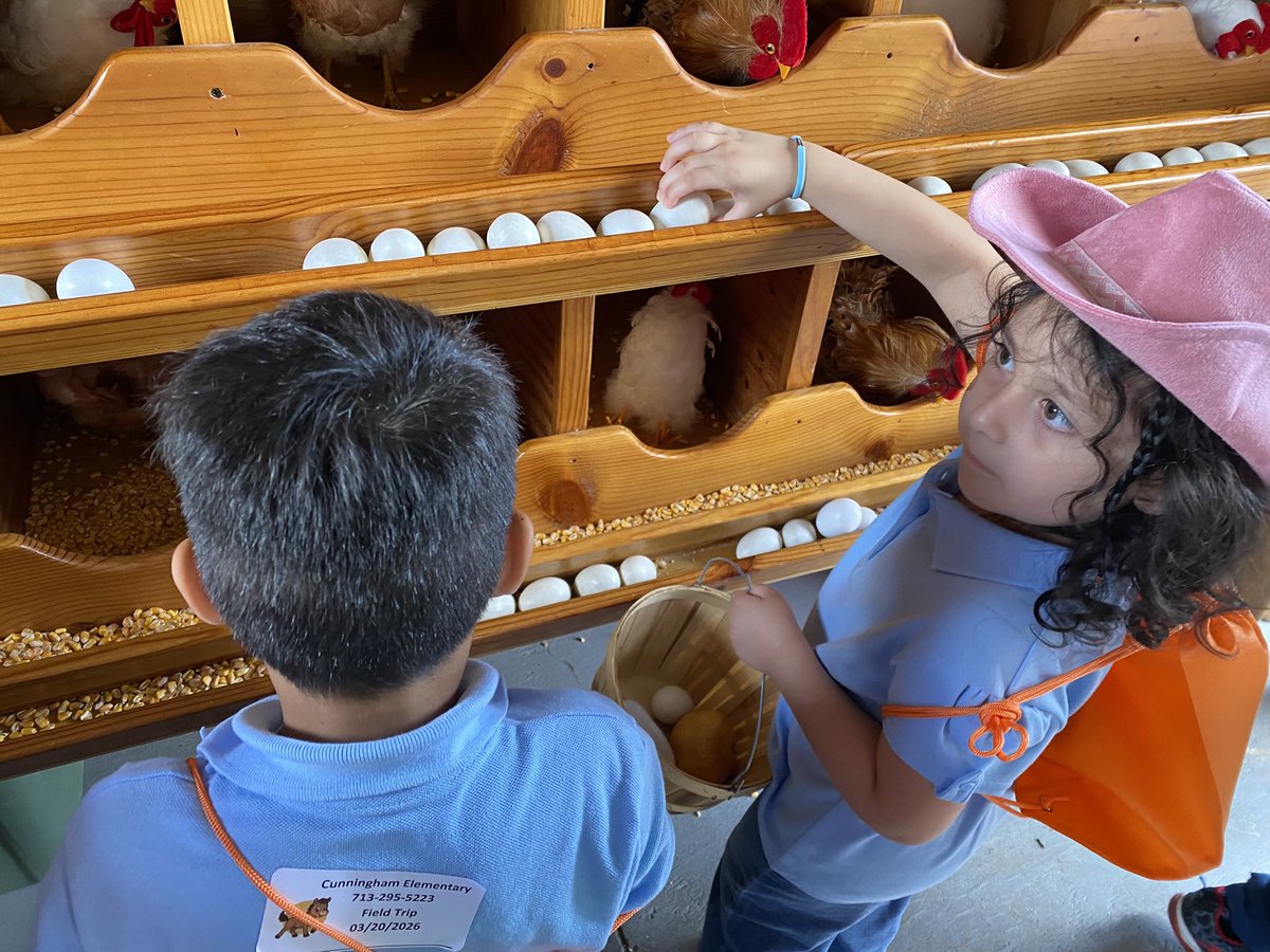 PreK Teacher tweet media