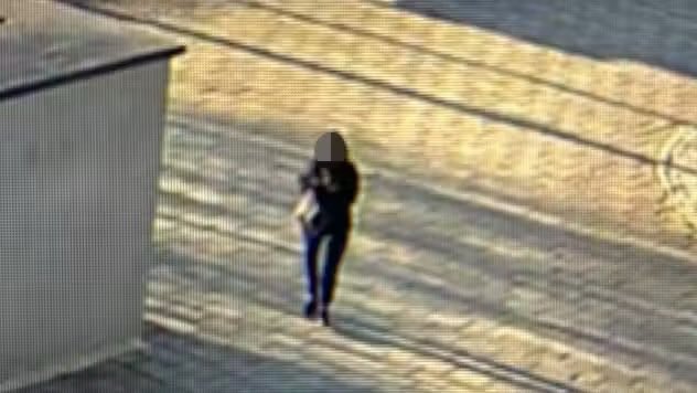 Visegrád 24 tweet media