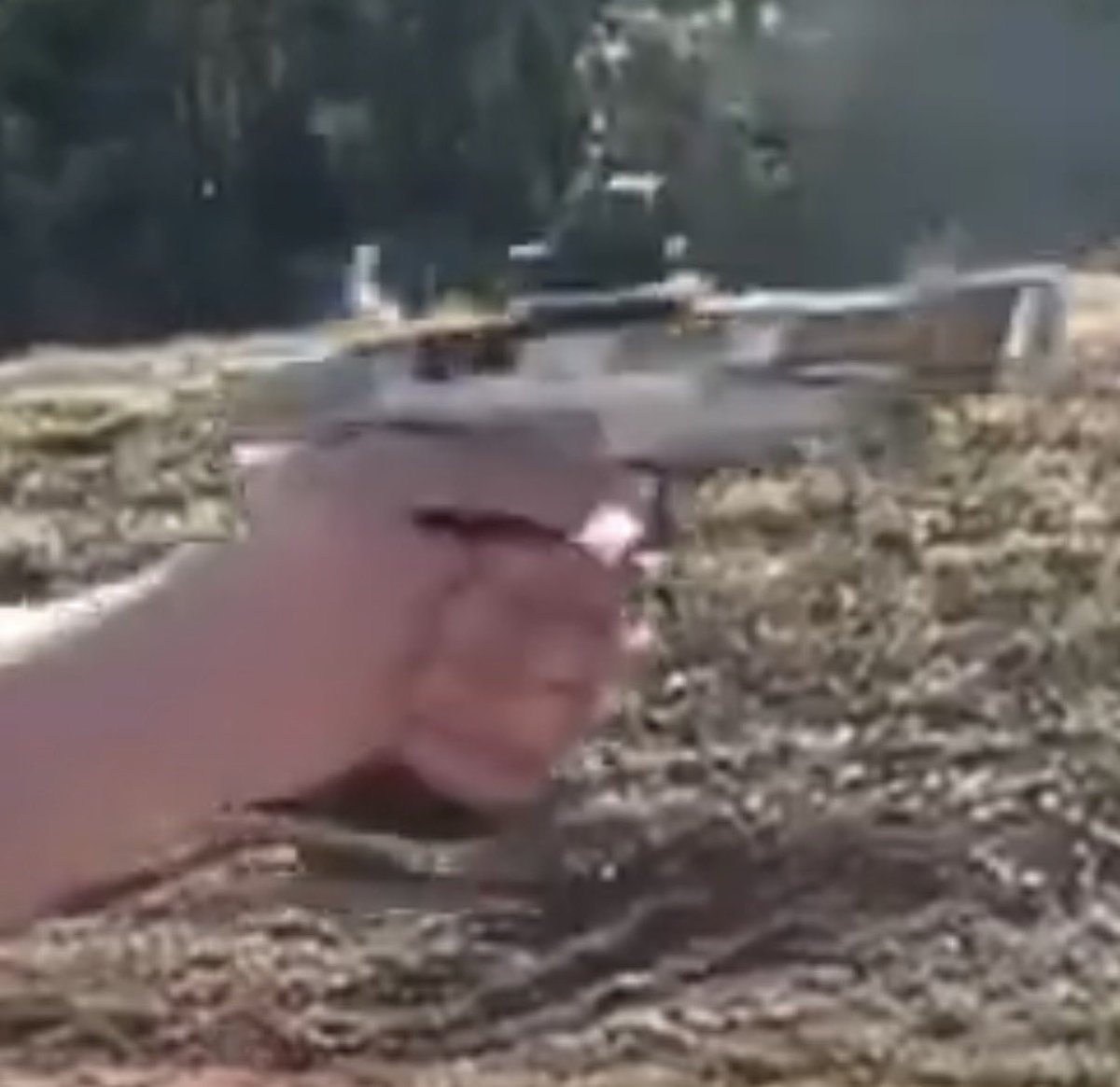 Anatidaephobia 📦👻 tweet media