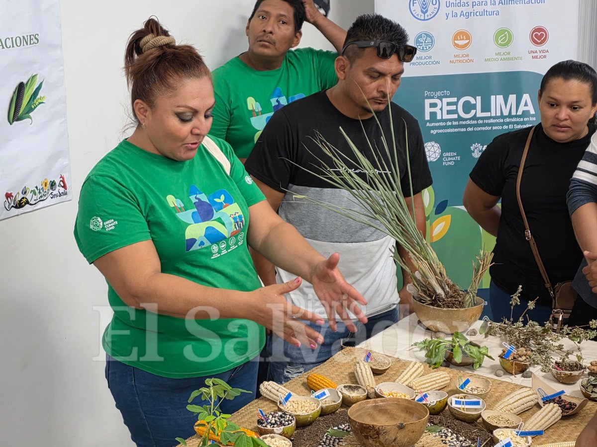 Oriente_ES | Diario El Salvador tweet media