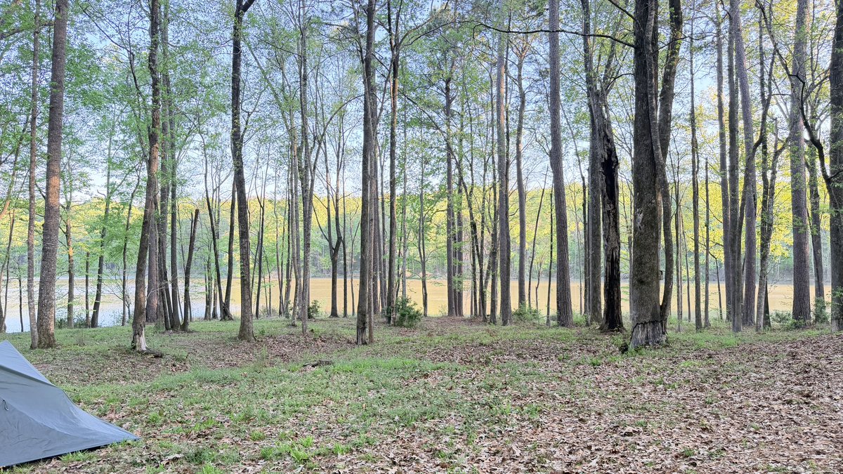 UnNonSequitur tweet media