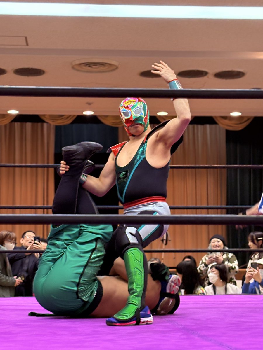 スペルデルフィン tweet media