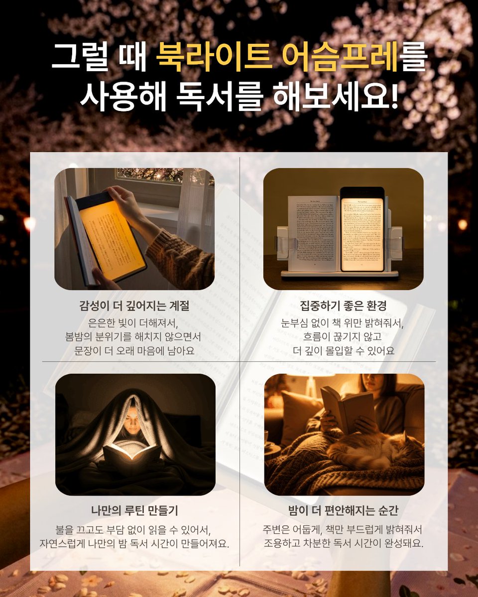 북라이트 어슴프레 tweet media