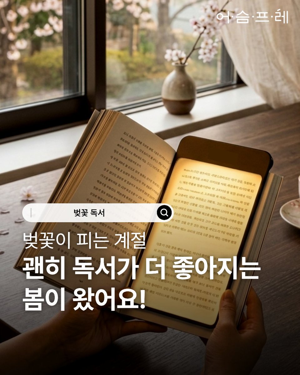 북라이트 어슴프레 tweet media