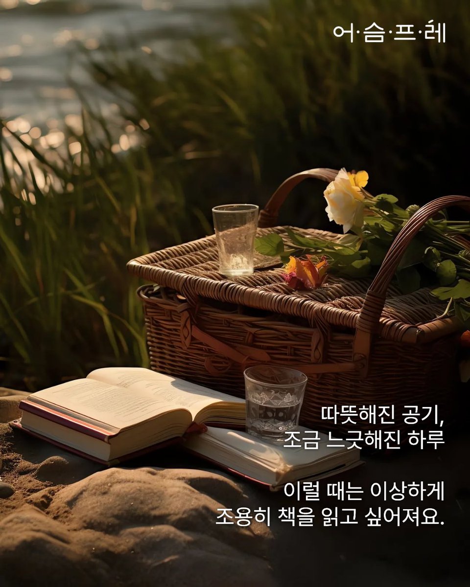 북라이트 어슴프레 tweet media