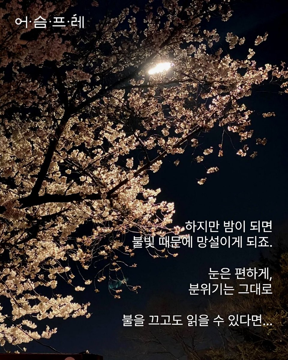 북라이트 어슴프레 tweet media