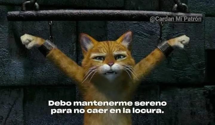 Quitan la electricidad todos los días, al menos 5 horas, sin horario o aviso.

Yo con las hormonas a todo lo que dan: