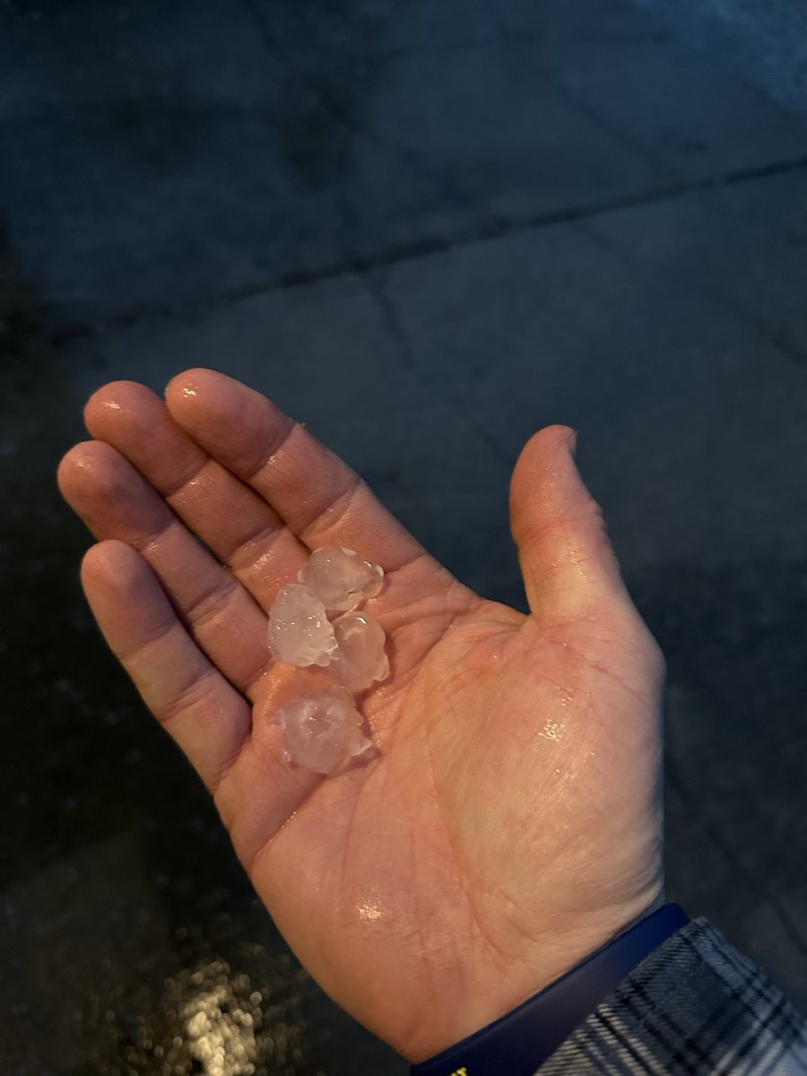 Don Nelson tweet media