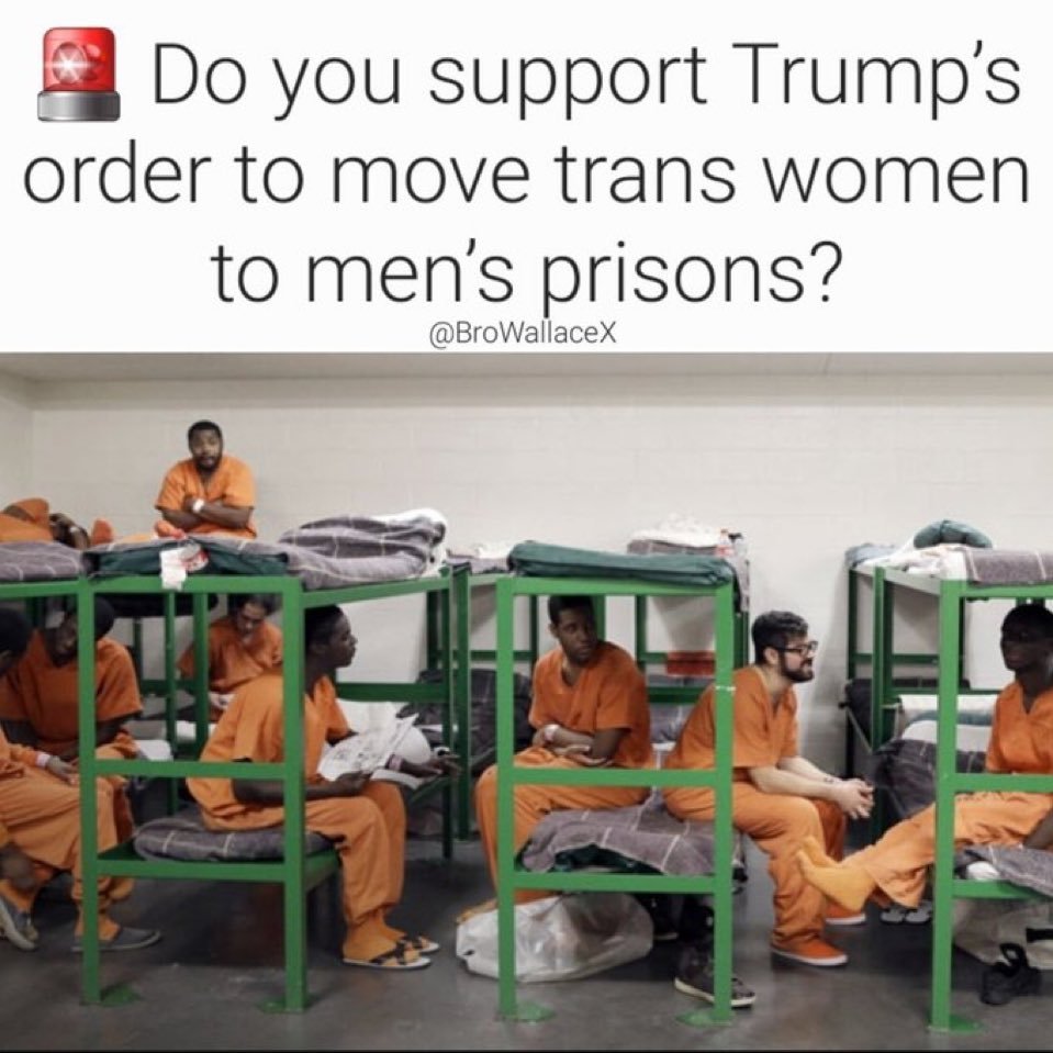 Anti Woke Memes tweet media