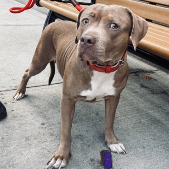 Not the Same tweet media