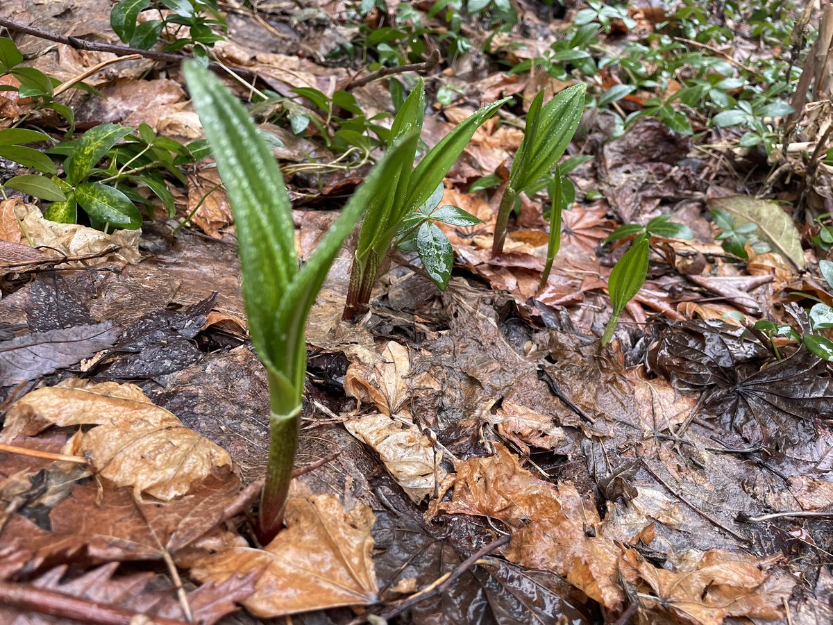 阿部光平｜IN&OUT tweet media