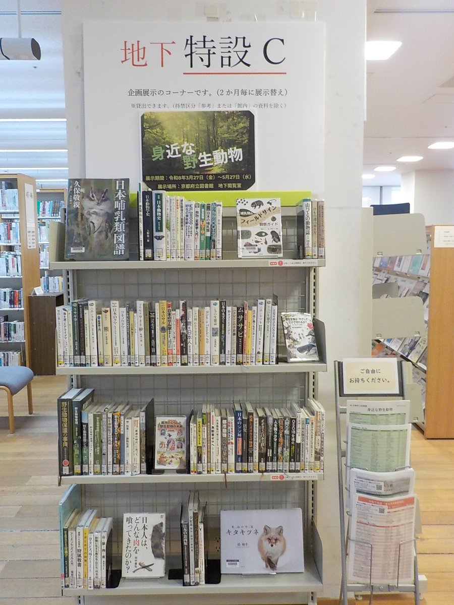 京都府立図書館 tweet media