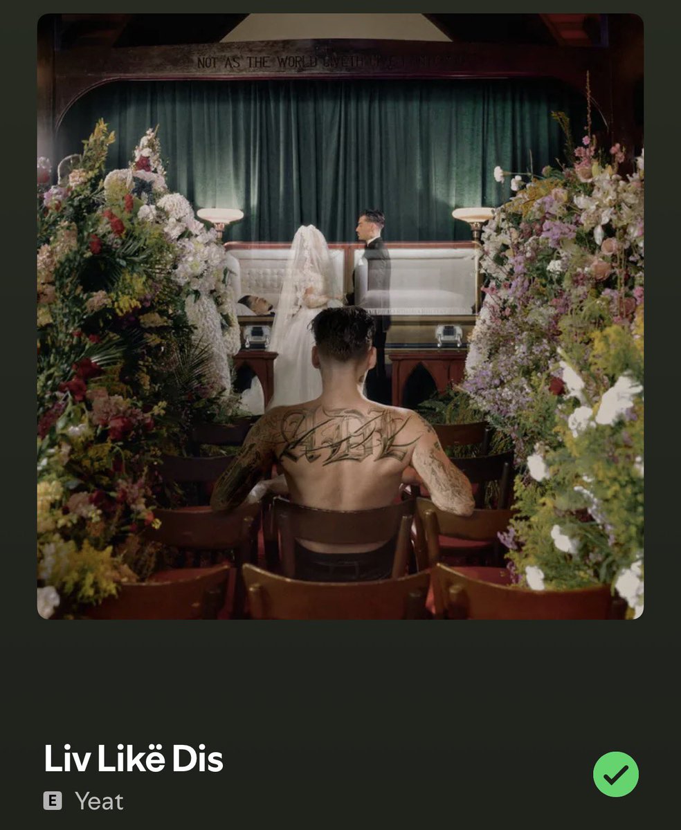 Dobson 🦋 tweet media