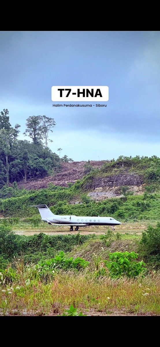 Zakki Amali tweet media