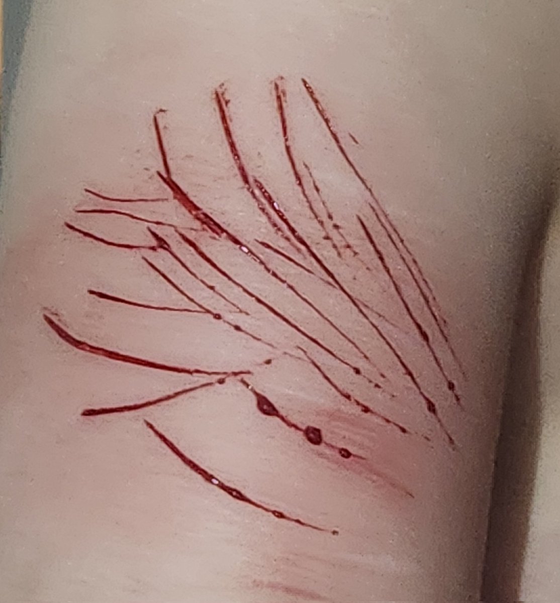 starscream of shtwt tweet media