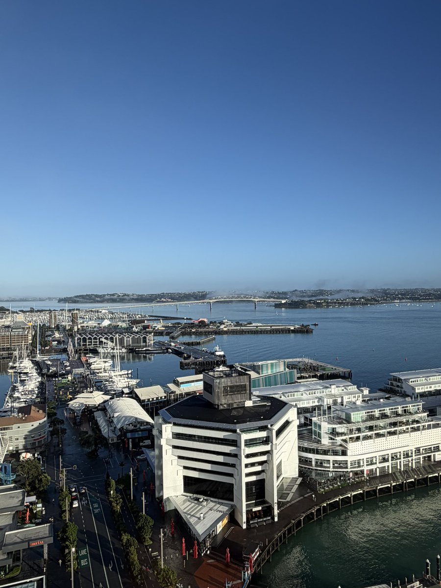 Hamish J T tweet media