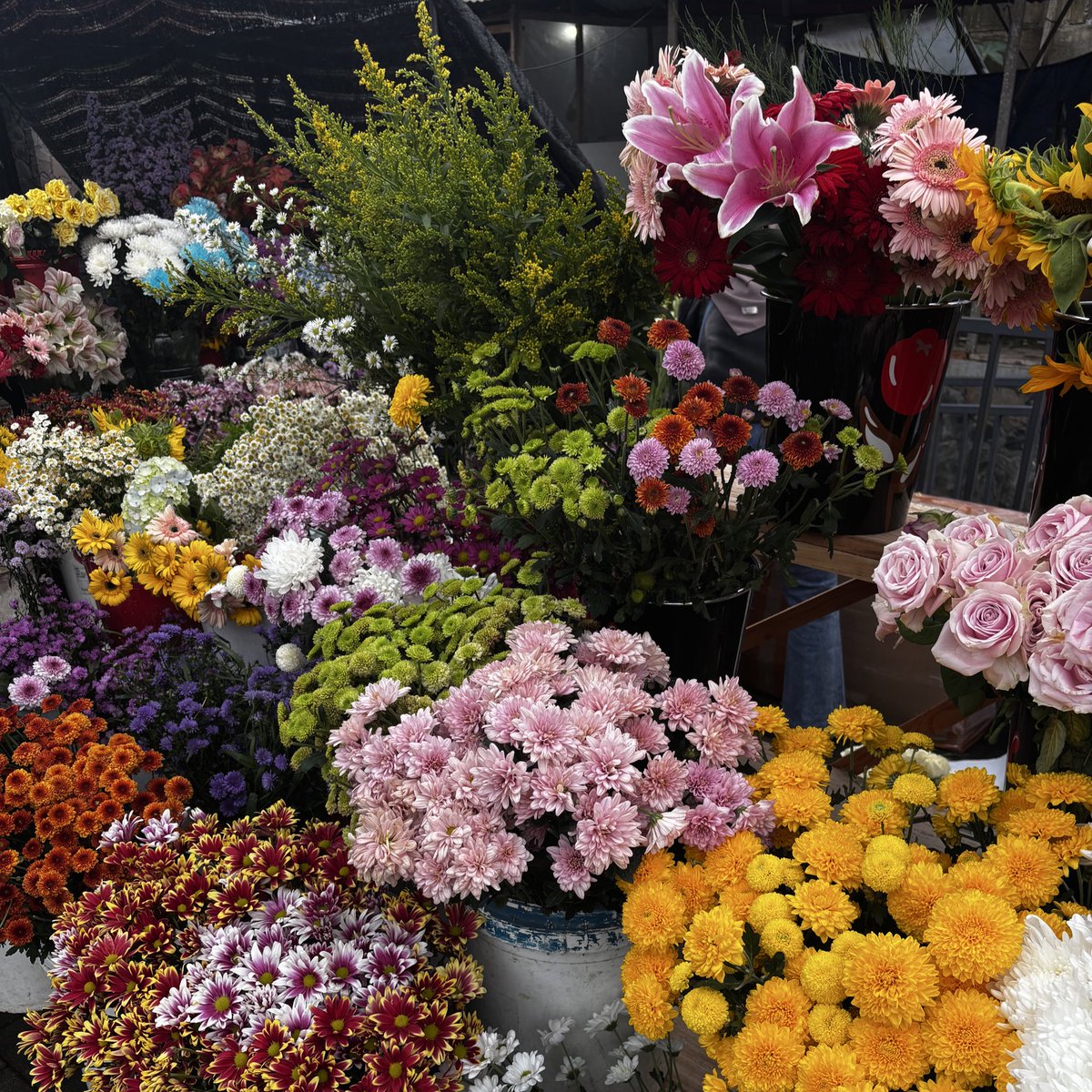 nae☆🍉🩷💚 tweet media