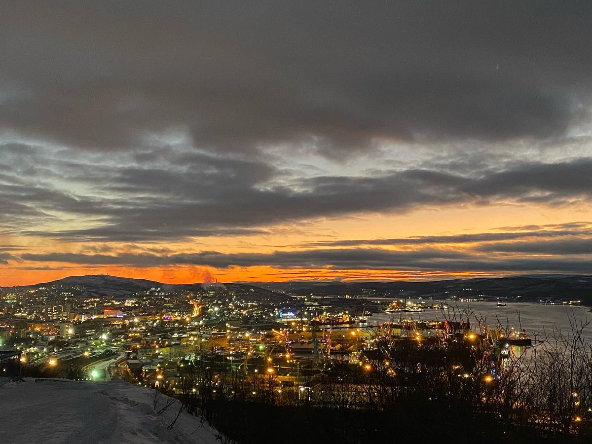 Olivia Rose tweet media