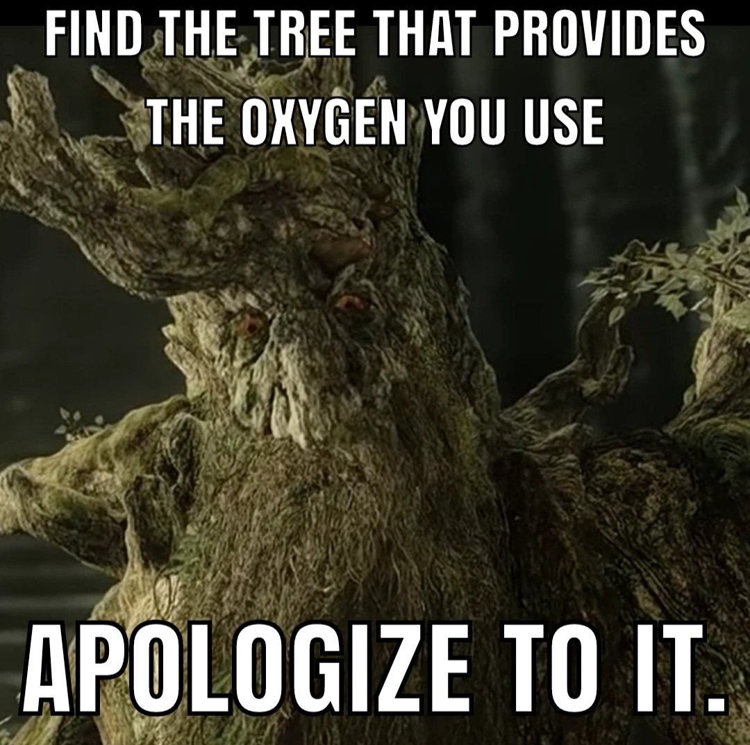 RaiderElJonson tweet media