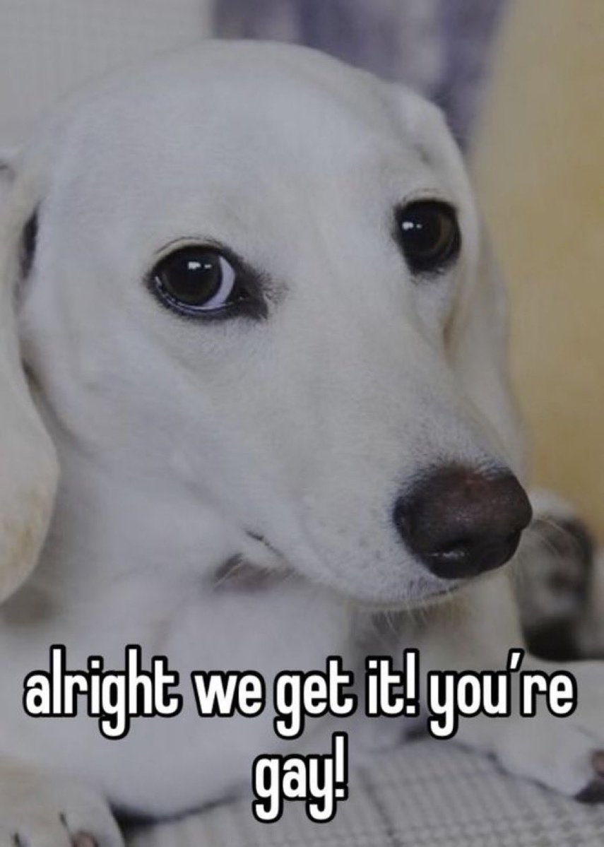 Nessie 🇧🇷🦁🇲🇫 tweet media