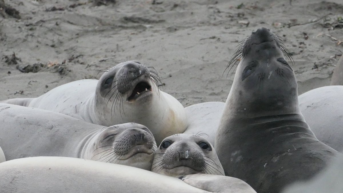 Monica S. tweet media