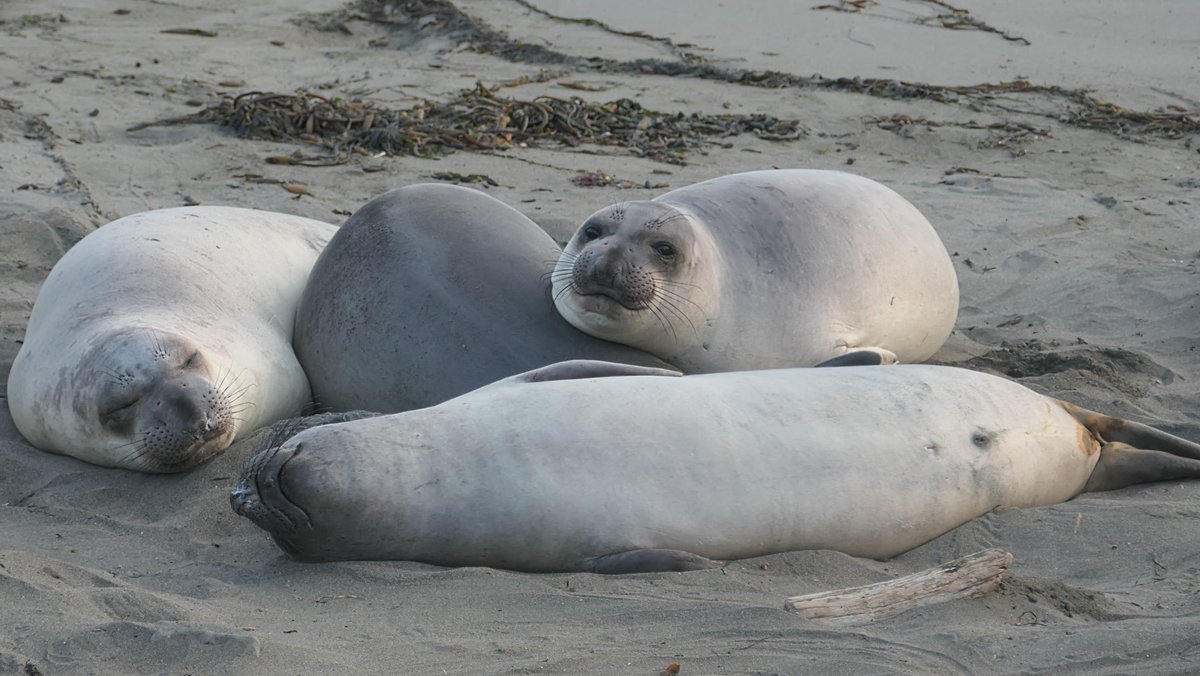 Monica S. tweet media