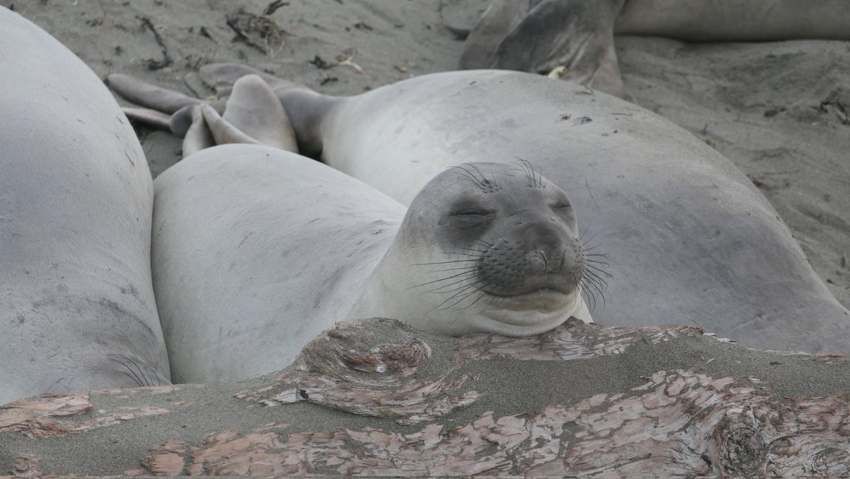 Monica S. tweet media