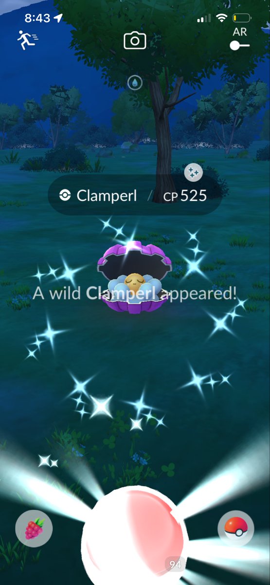 POGOGOLD's tweet image. Highlights from 3/26. Found an extra Clamperl in my Field Research from over the weekend as well! #Buneary #Tympole #Clamperl #Pokemon #PokemonGo