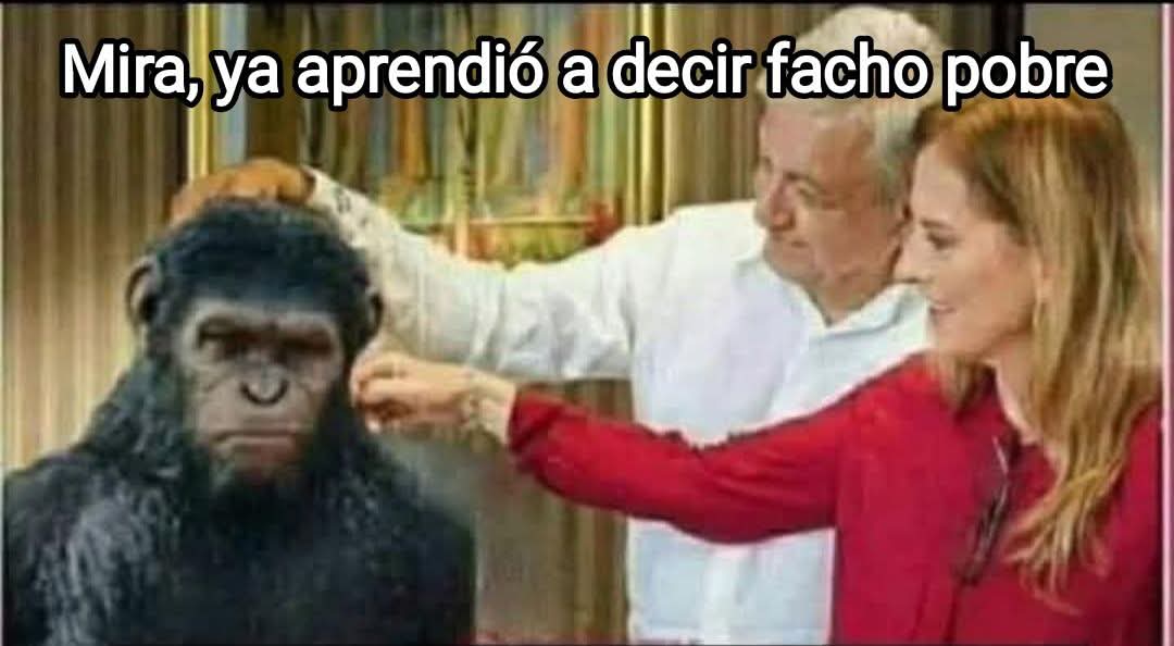 Miguel Angel tweet media