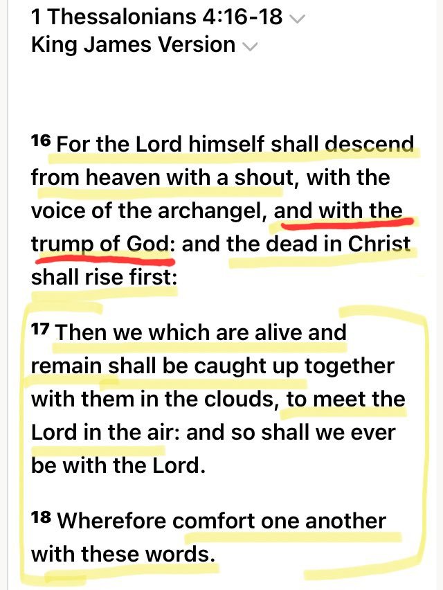 MissBeck71 🍊🇺🇸✝️ Trump2024 tweet media