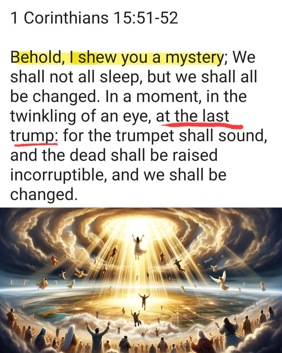 MissBeck71 🍊🇺🇸✝️ Trump2024 tweet media