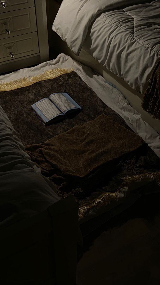 𝐴𝐿𝐵𝐴𝑅𝑄𝐼𓅂 tweet media