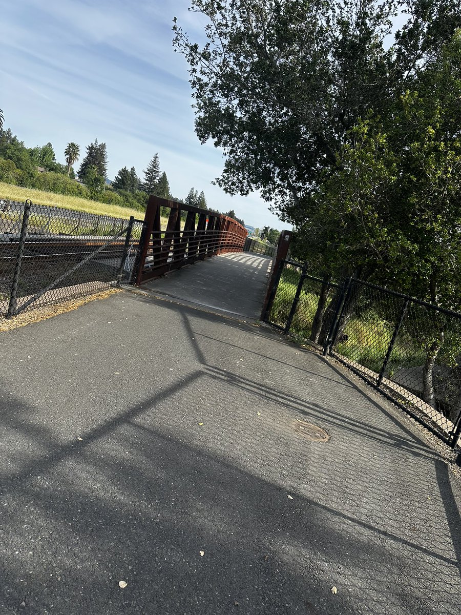 Scottie Graham tweet media