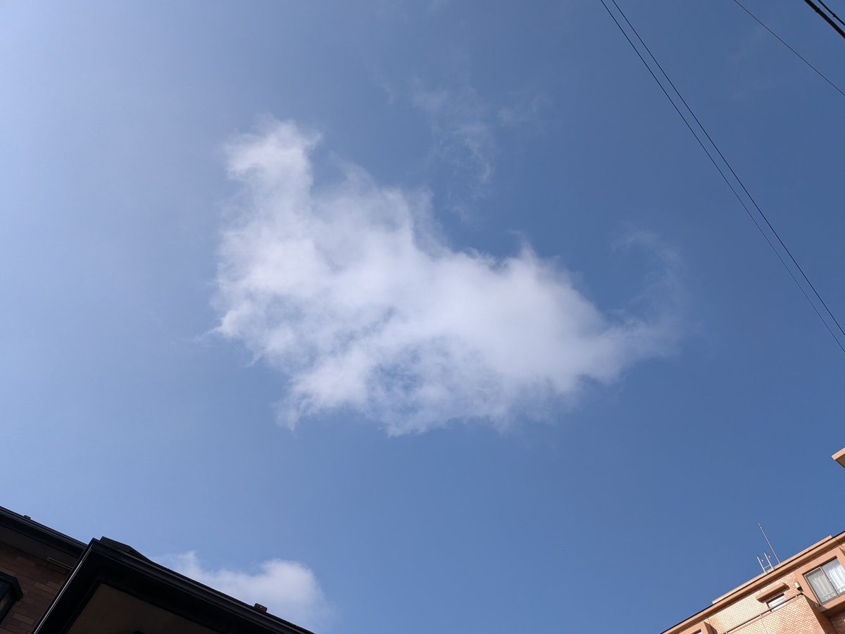 えびみ tweet media