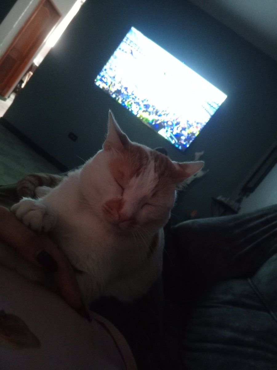 Nubia M. 🐦‍🔥 tweet media