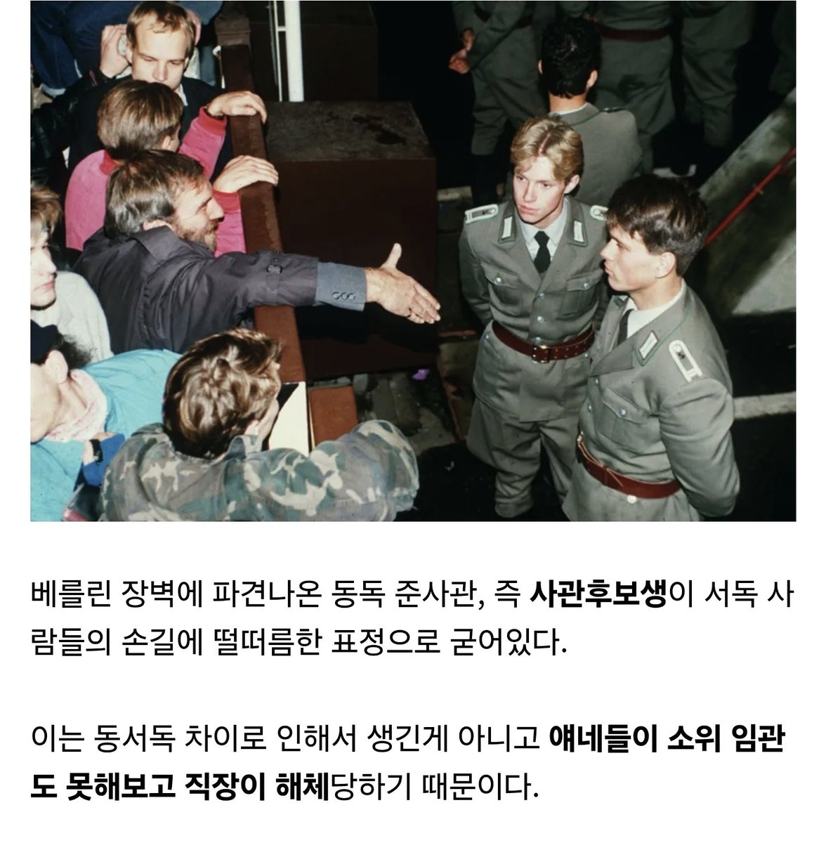 🎗치르노/'머리위 헤일로 그리세요!' tweet media