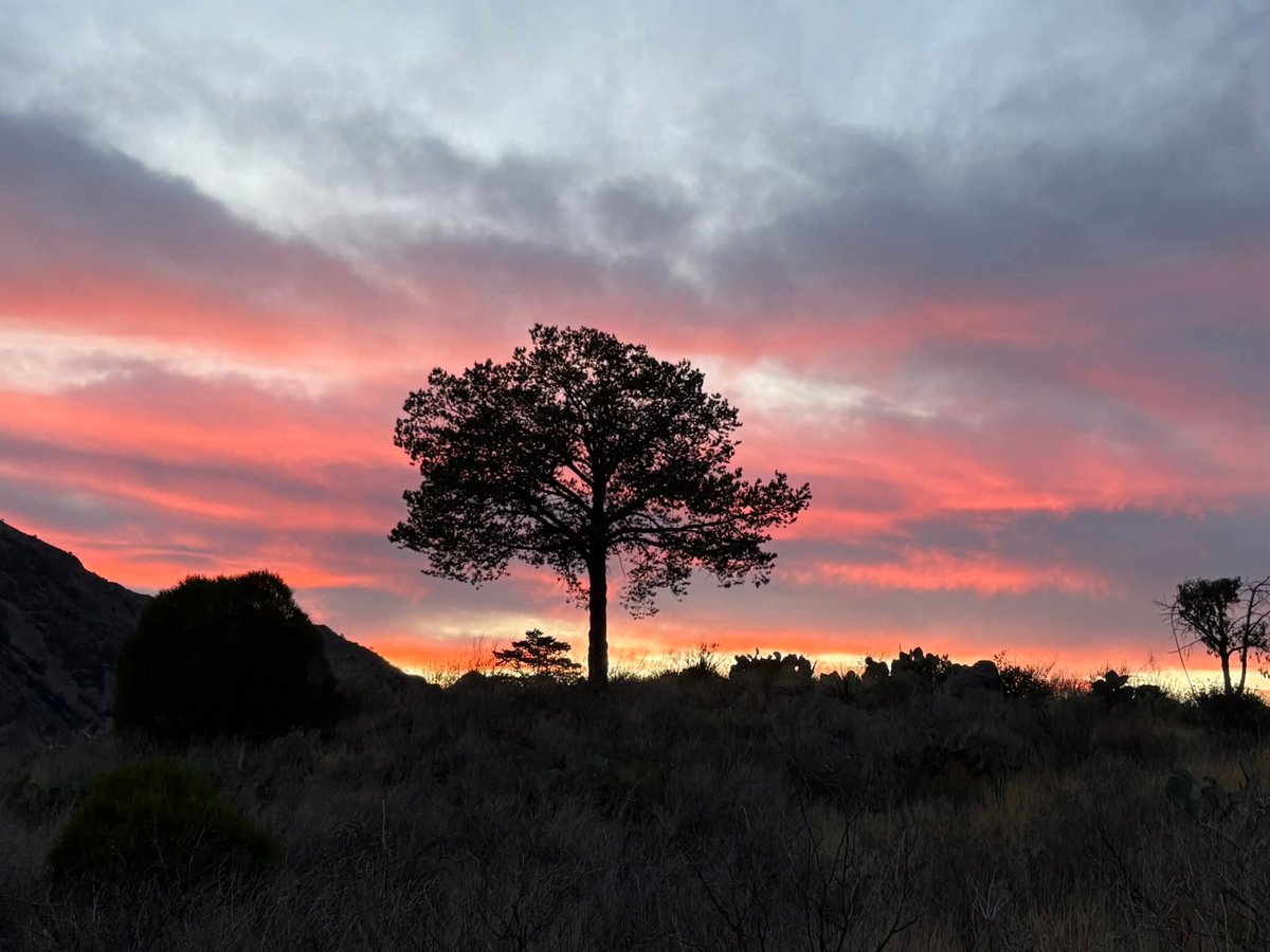 Juan José Ledezma tweet media