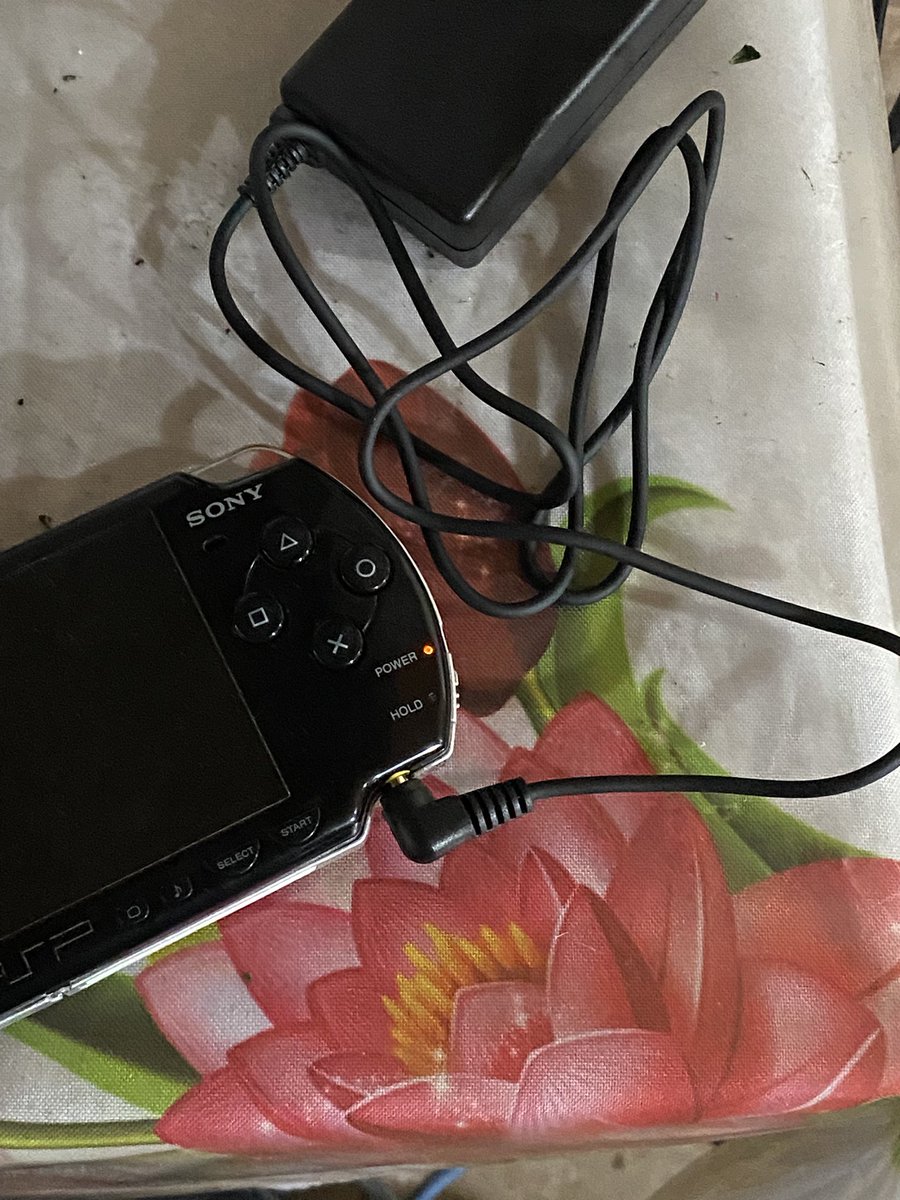 Amigdala Subcutanea tweet media