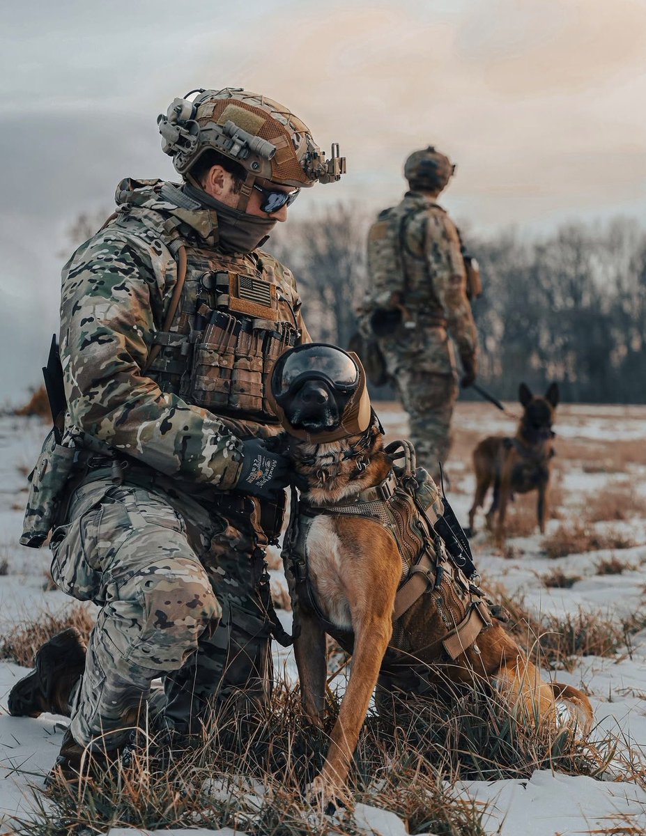 Military Support tweet media