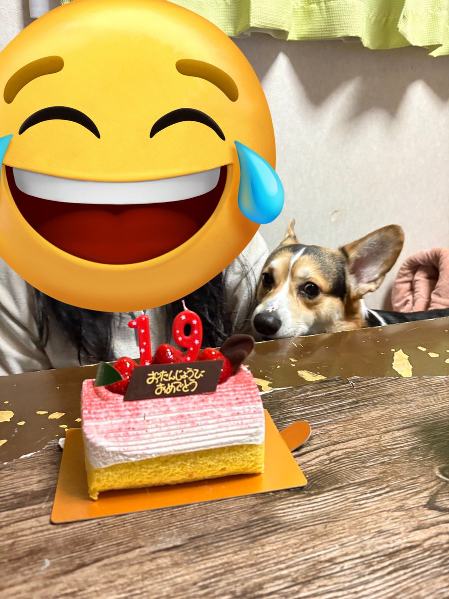 姫花とエスまる tweet media