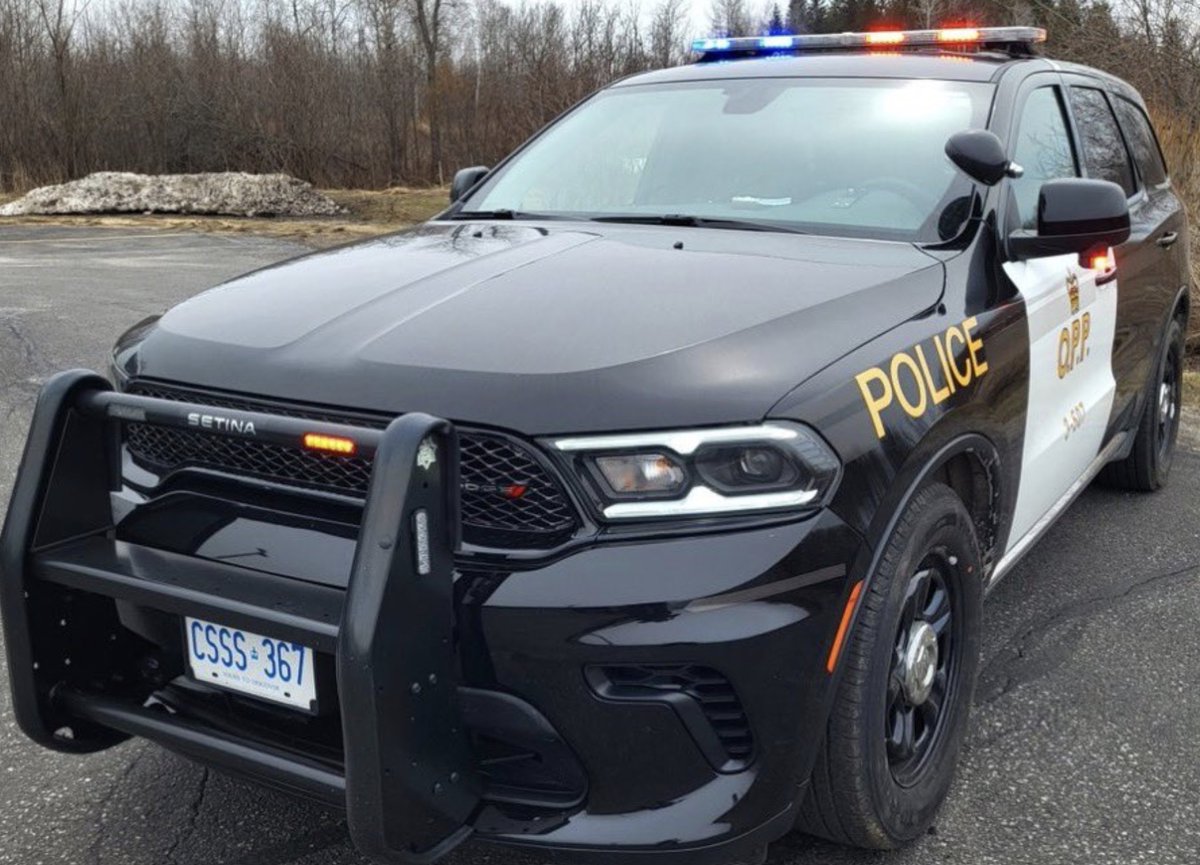 Quinteist tweet media