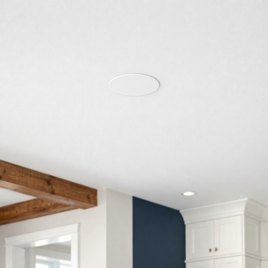 Joshua McMahon tweet media