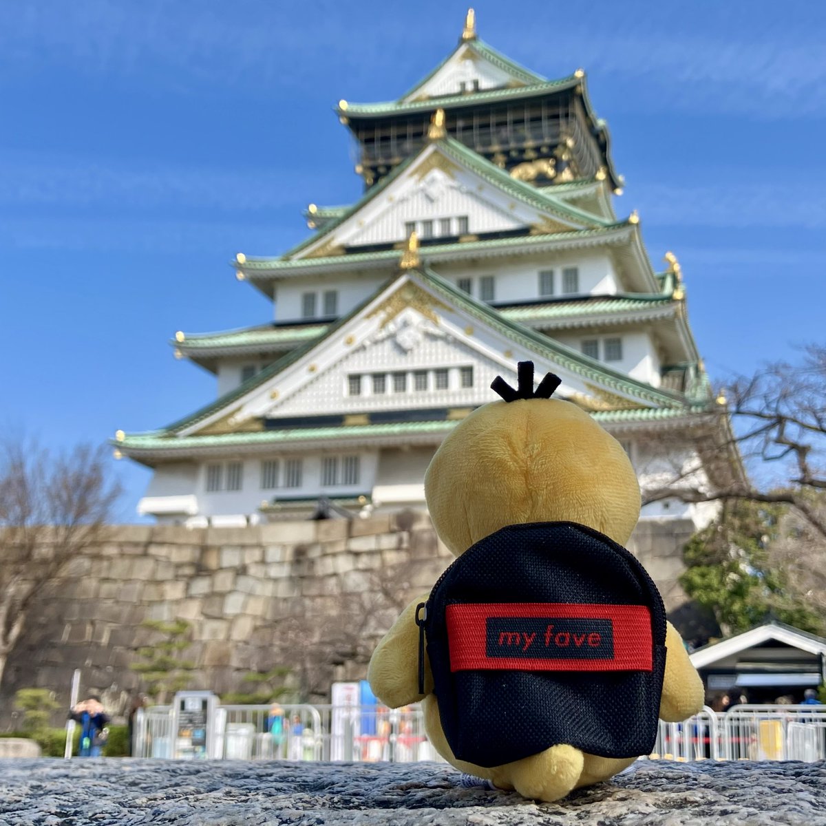 URIキノコ tweet media