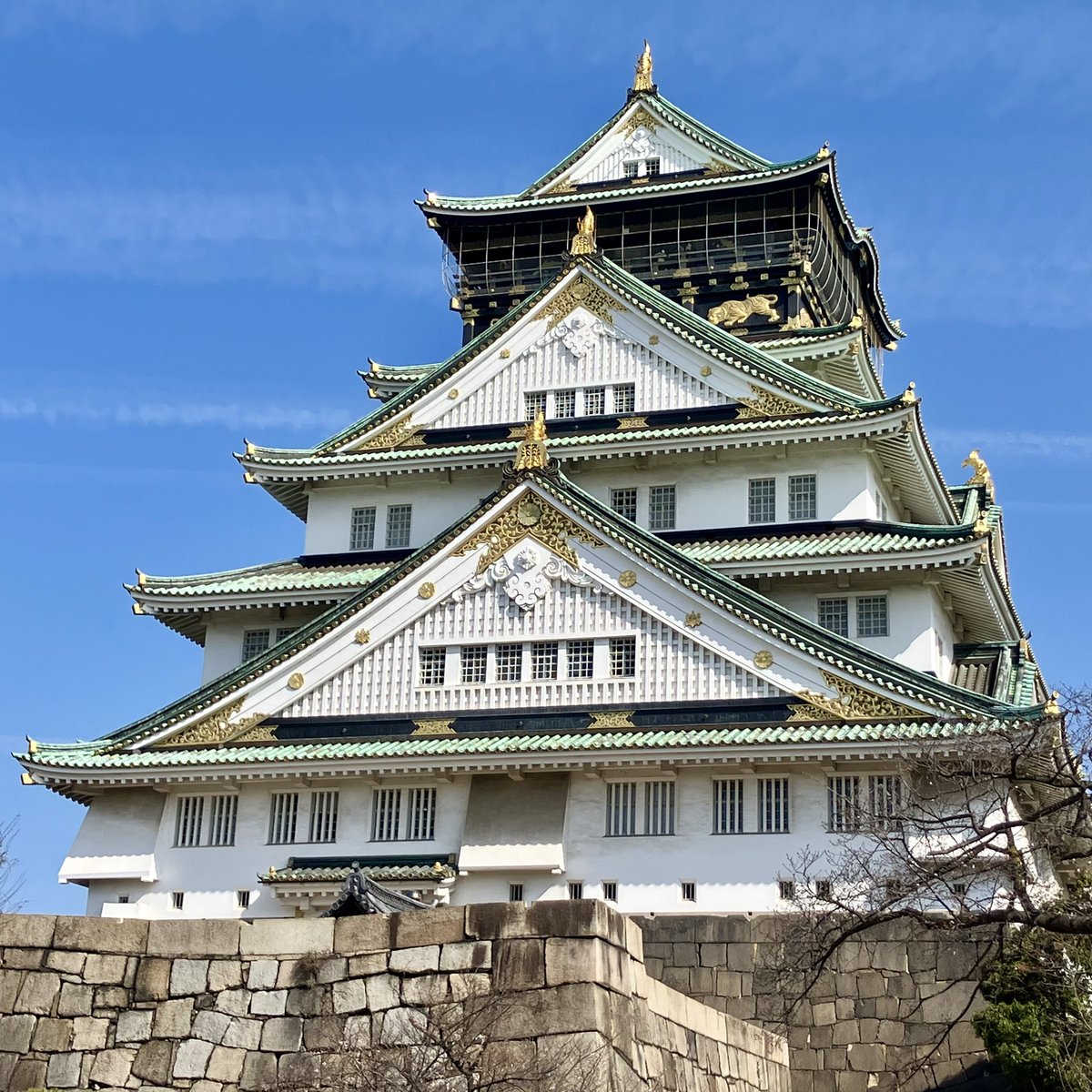 URIキノコ tweet media