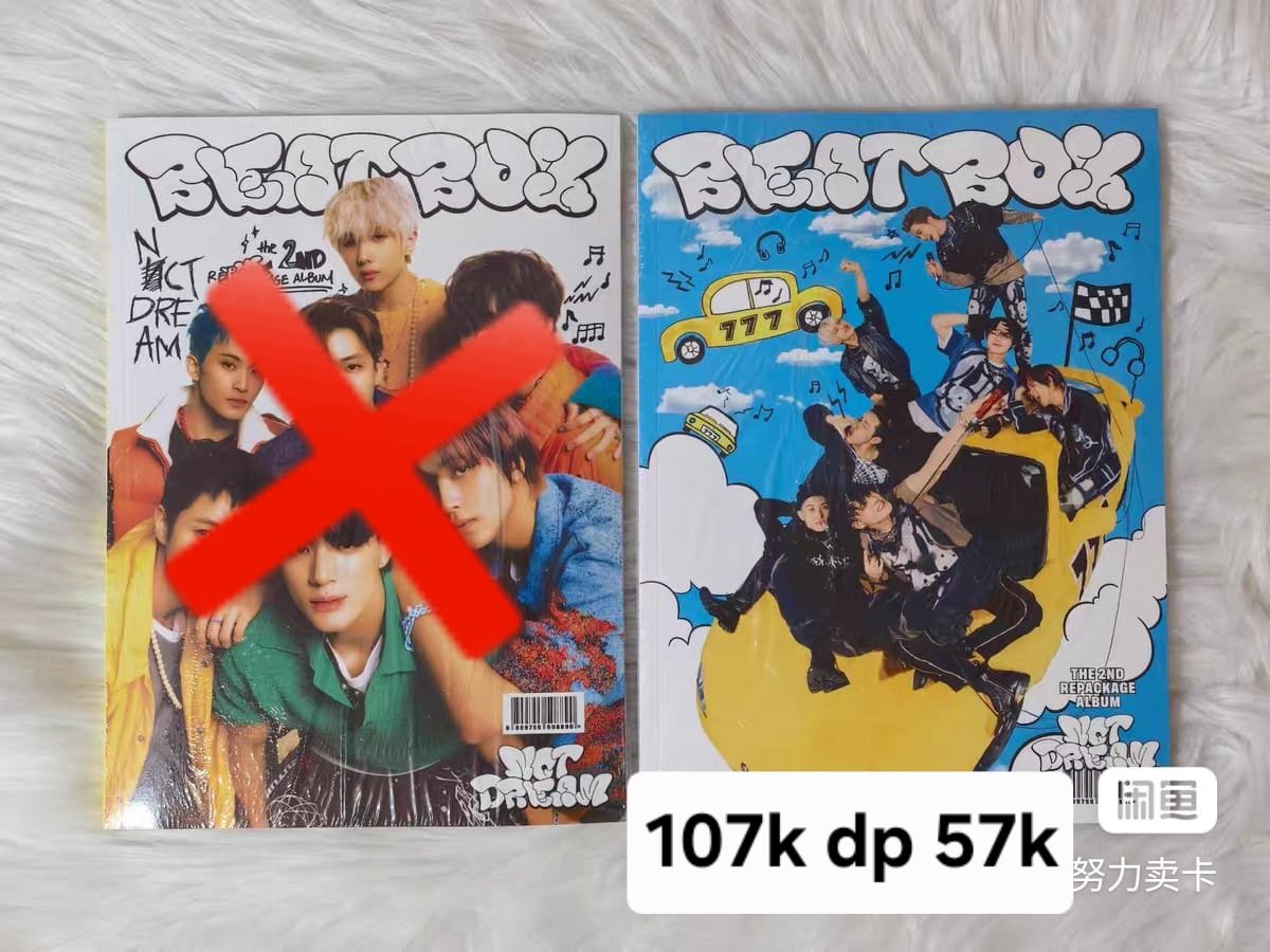 Samochi Go✨🐶🐻 tweet media